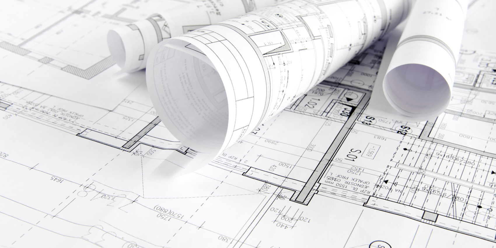 Project Coordination and Management